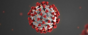Foto: Jornal da USP : https://jornal.usp.br/ciencias/ciencias-da-saude/usp-cultiva-amostra-de-coronavirus-em-laboratorio-para-distribuir-a-rede-de-saude/?fbclid=IwAR3ugzM1TkZ2s7xysQaeVJmYC61dCOu4v1E5JEdf6w44_YZvhOOp1K7vSDg