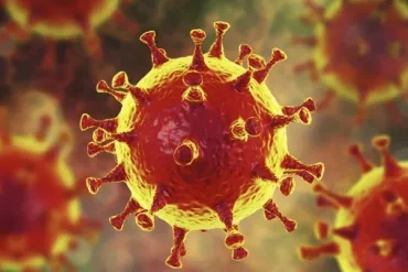 Modelo em 3D do Coronavírus – Imagem: 123RF/Jornal da USP