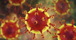 Modelo em 3D do Coronavírus – Imagem: 123RF/Jornal da USP